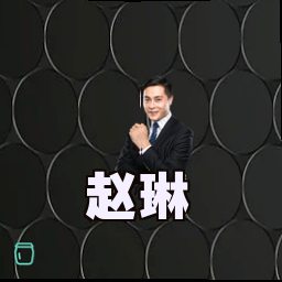 赵琳